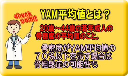 YAM平均値とは？【イラスト図】